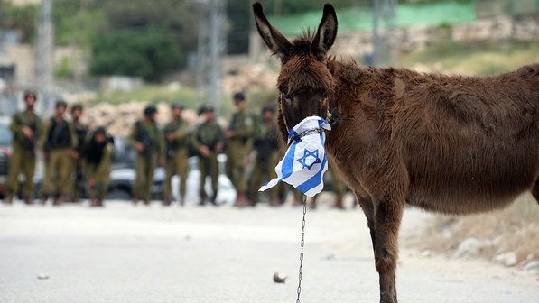 Burro-israel-palestinos-conflito-20120504-size-598
